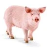 Schleich Farm 13782 - Varken Zeug