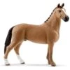 Schleich Horses 13837 - Hannover Hengst -Speelgoedwinkel schleich schleich horses 13837 hannover hengst