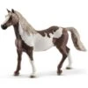 Schleich Horses 13885 - Paint Horse Hengst -Speelgoedwinkel schleich schleich horses 13885 paint horse hengst
