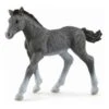 Schleich Horses 13944 - Trakehner Veulen -Speelgoedwinkel schleich schleich horses 13944 trakehner veulen
