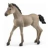 Schleich Horses 13949 - Criollo Definitivo Veulen