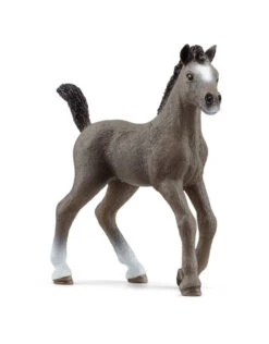 Schleich Horses 13957 - Frans Rijpaard Veulen